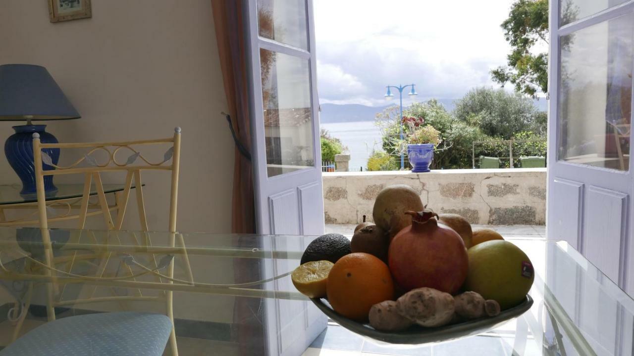 Appartement Les Figuiers *