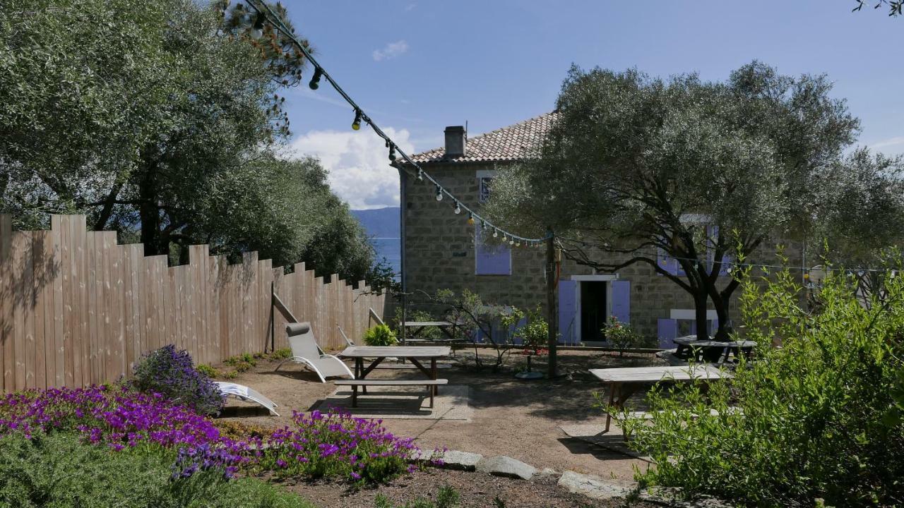 Les Figuiers Apartment *
